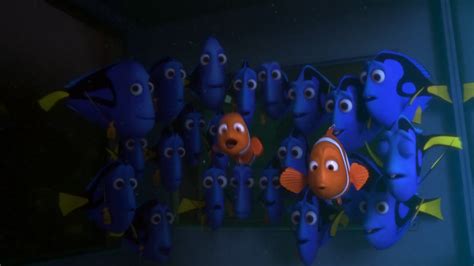 Image - Finding Dory 49.png | Disney Wiki | FANDOM powered by Wikia