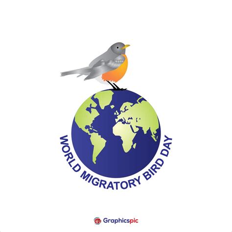 World Migratory Bird Day with earth illustration - free vector - Graphics Pic