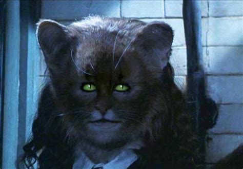 Harry Potter And The Chamber Of Secrets Hermione Cat - Cat Lovster