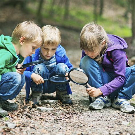 Outdoor education – a possibility in Singapore? | Urban Ecology LSM4265