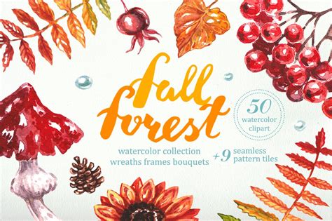 Watercolor Collection "Fall Forest" | Illustrations ~ Creative Market