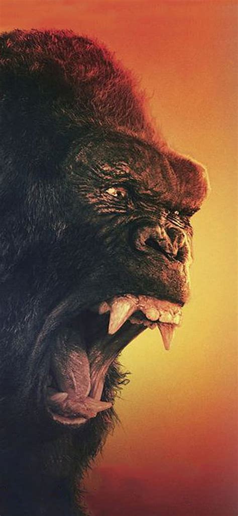 King Kong, animation, fight, film, godzilla, godzilla vs king, hollywood, kingkong, HD phone ...