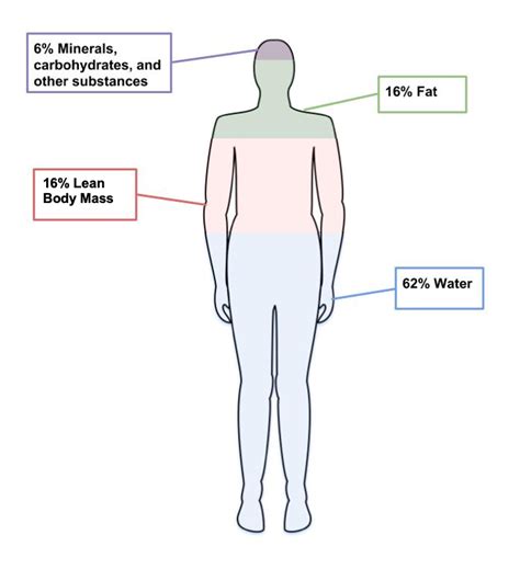 Indicators of Health: BMI, Body Composition, and Metabolic Health ...