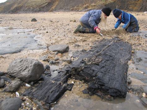 Walton-on-the-Naze (Essex) | Discovering Fossils