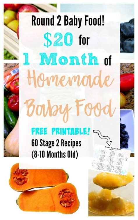 $20 for 1 Month of Stage 2 Homemade Baby Food- with Free Printable of ...