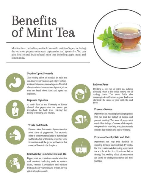 9 Peppermint Tea Benefits +Healthy Skin, Hair, and More | Mint tea ...