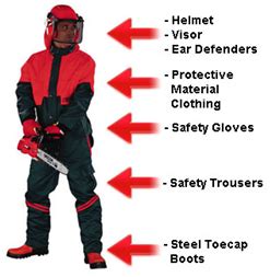 Chainsaw Safety Guide