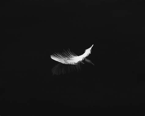 Black Feather Wallpapers - Top Free Black Feather Backgrounds - WallpaperAccess