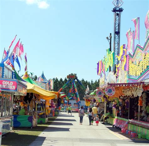 Meaningful Menagerie: Clay County Agricultural Fair: from snout to the ...