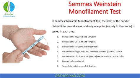 Semmes Weinstein Monofilament Test | OrthoFixar 2024