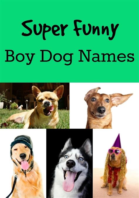 Pets Movie Dogs Names