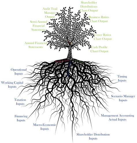 Google Image Result for http://www.excelcheck.com/Images/root_system ...