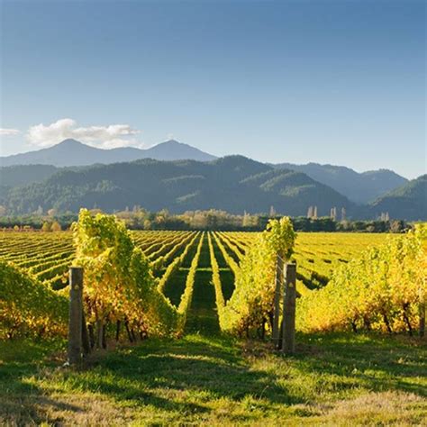 Sonoma County Wineries - Sonoma.com