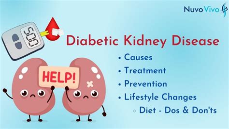 Diabetic Kidney Disease: Tips for Maintaining Healthy Kidneys - NuvoVivo