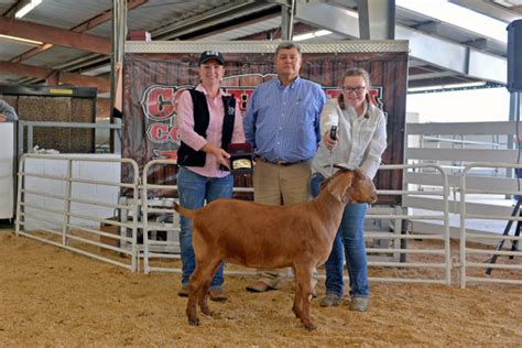 Livestock Exhibits – Florida Gateway Fairgrounds formerly Columbia ...