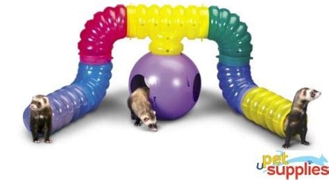 FerreTrail Playground Kit Ferret Toy/Exerciser | Cage furet, Furet, Cage