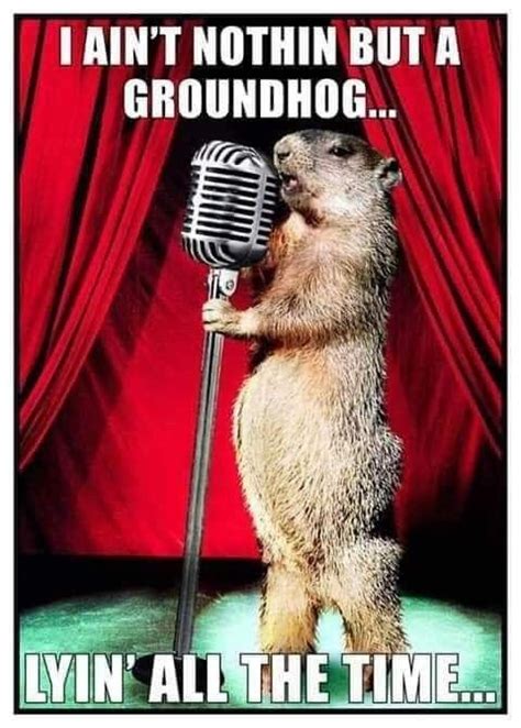 The Funniest 2024 Groundhog Day Memes to Share | Birthday quotes funny ...