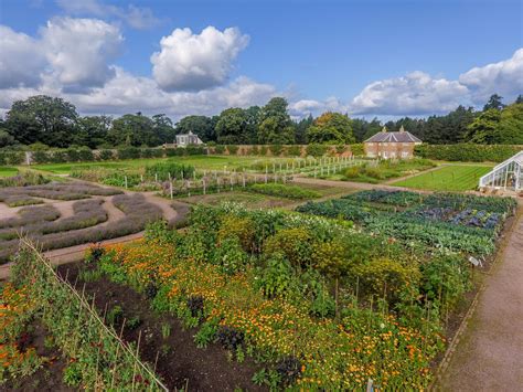 How Gordon Castle grows its cut flowers - The English Garden