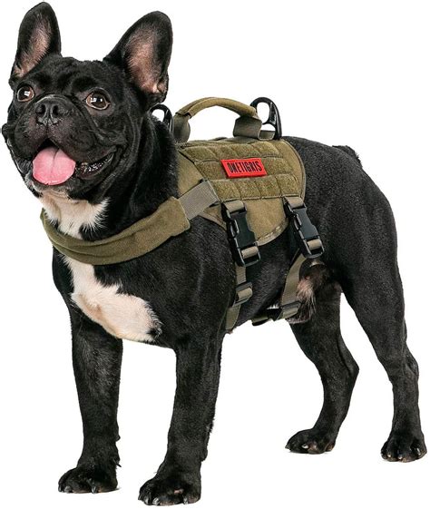 5 Best Harness for French Bulldog Puppy (2022) - Best Protection Dogs