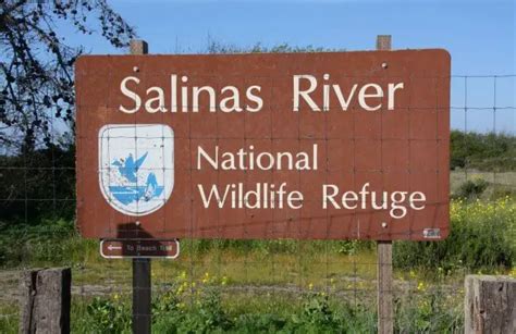 Salinas River National Wildlife Refuge in Salinas, CA - California Beaches