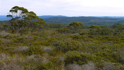 Barren Grounds - Bush Walk With Great View - Passenger On Earth