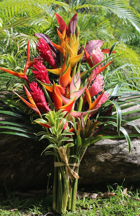 Paradise Bouquet – Tropical Flowers & Bouquets of Hawaii