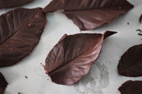 Salvation Sisters: How To Make Chocolate Leaves for Dessert Garnishing