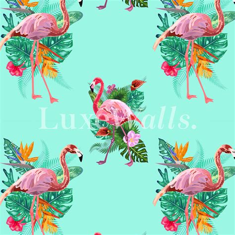 Tropical Flamingo HD Wallpapers Pxfuel | atelier-yuwa.ciao.jp