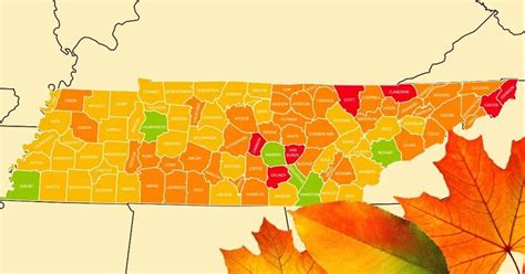 Now You Can See an Interactive Tennessee Fall Foliage Map (2024) | Foliage map, Fall foliage map ...