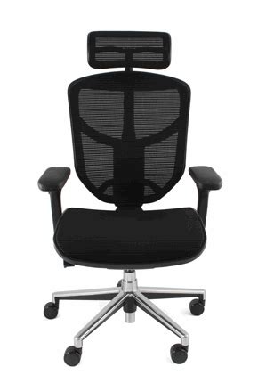Enjoy Luxury Office Chair with Mesh Seat And Back. Has back height, back tilt, seat height, seat ...