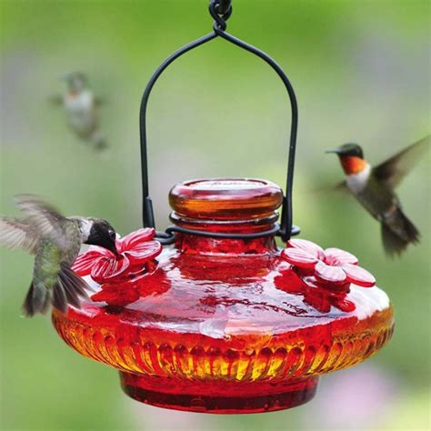 Hummingbird Feeders Sale - Yard Envy