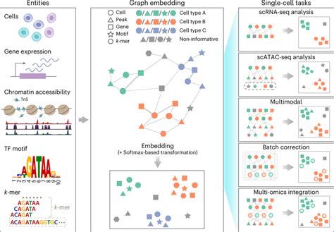 SIMBA framework overview SIMBA co-embeds cells and various features ...