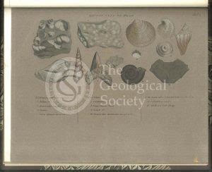 William Smith Archives - Geological Society Picture LibraryGeological ...