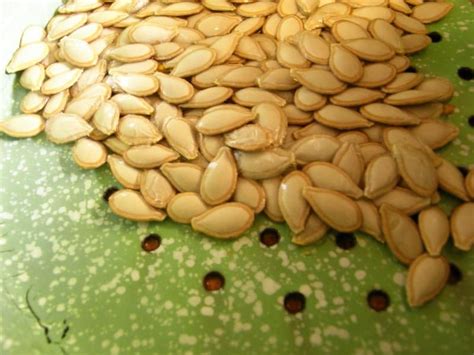 queensland blue pumpkin seeds