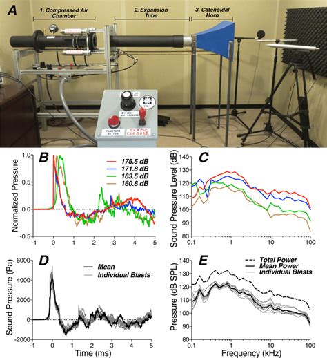 Structure and performance of the custom shock tube. (A) Our shock tube ...