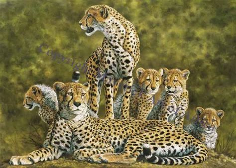 Cheetah Pyramid oil on canvas