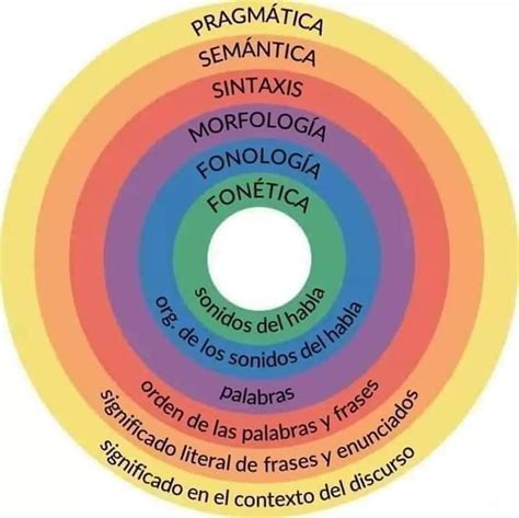 Significado de «fonética»