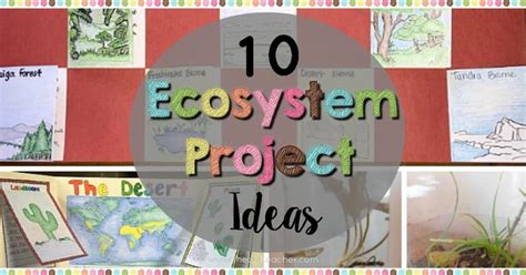 10 Ecosystem Project Ideas - The Owl Teacher