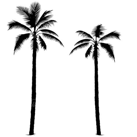 Palm Tree Silhouettes Vector Silhouettes Clip Art Vector, Vector ...