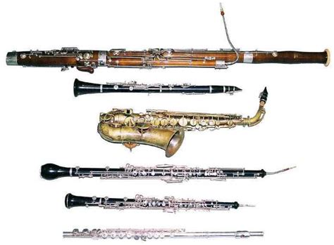 Do All Woodwind Instruments Have Reeds at Rebecca Blood blog