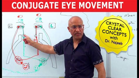 Saccades | Conjugate Eye Movement - YouTube