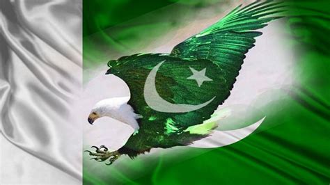 Download Pakistan Flag On Eagles Body Wallpaper | Wallpapers.com