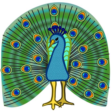 Afbeeldingsresultaat voor peacock clipart | Line art, Canvas art prints, Clip art
