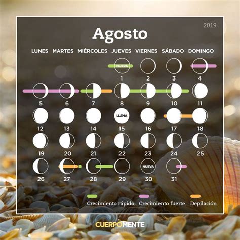 Calendario lunar de agosto 2019 | Calendario lunar, Calendario ...
