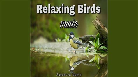 Relaxing Birds Music - YouTube