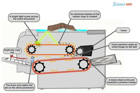 Working Of A Xerox Machine: How Does A Photocopier Work?