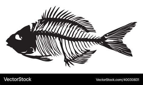 Silhouette of a fish skeleton Royalty Free Vector Image