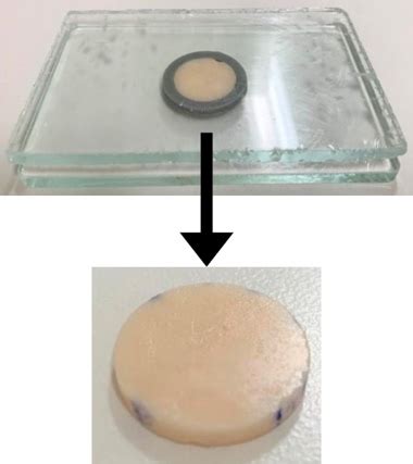 Preparation of the samples. | Download Scientific Diagram