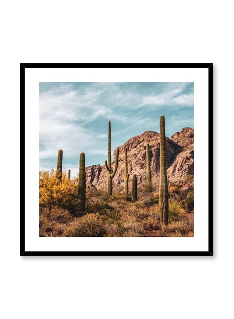 Desert Landscape Photography Poster | Buy Art Prints at Opposite Wall