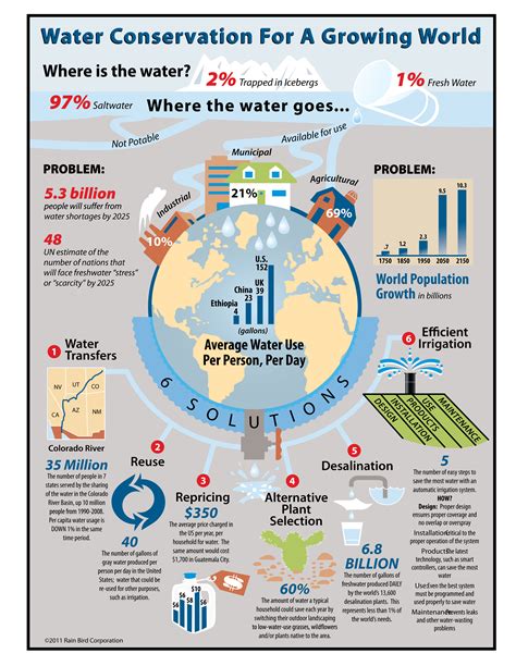 Where Does the Water Go? - Nature's Helper